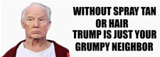 Funny Political Bumper Stickers, Anti Trump, High Quality, Waterproof, 9"W x 3"H