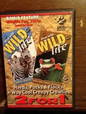 Its a Wild life:herds, packs,& flocks & way cool creepy crawlies