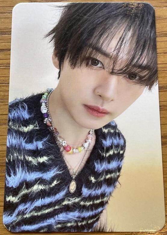 Lee Know トレーディングカード集 Stray Kids Lee Know trading card set
