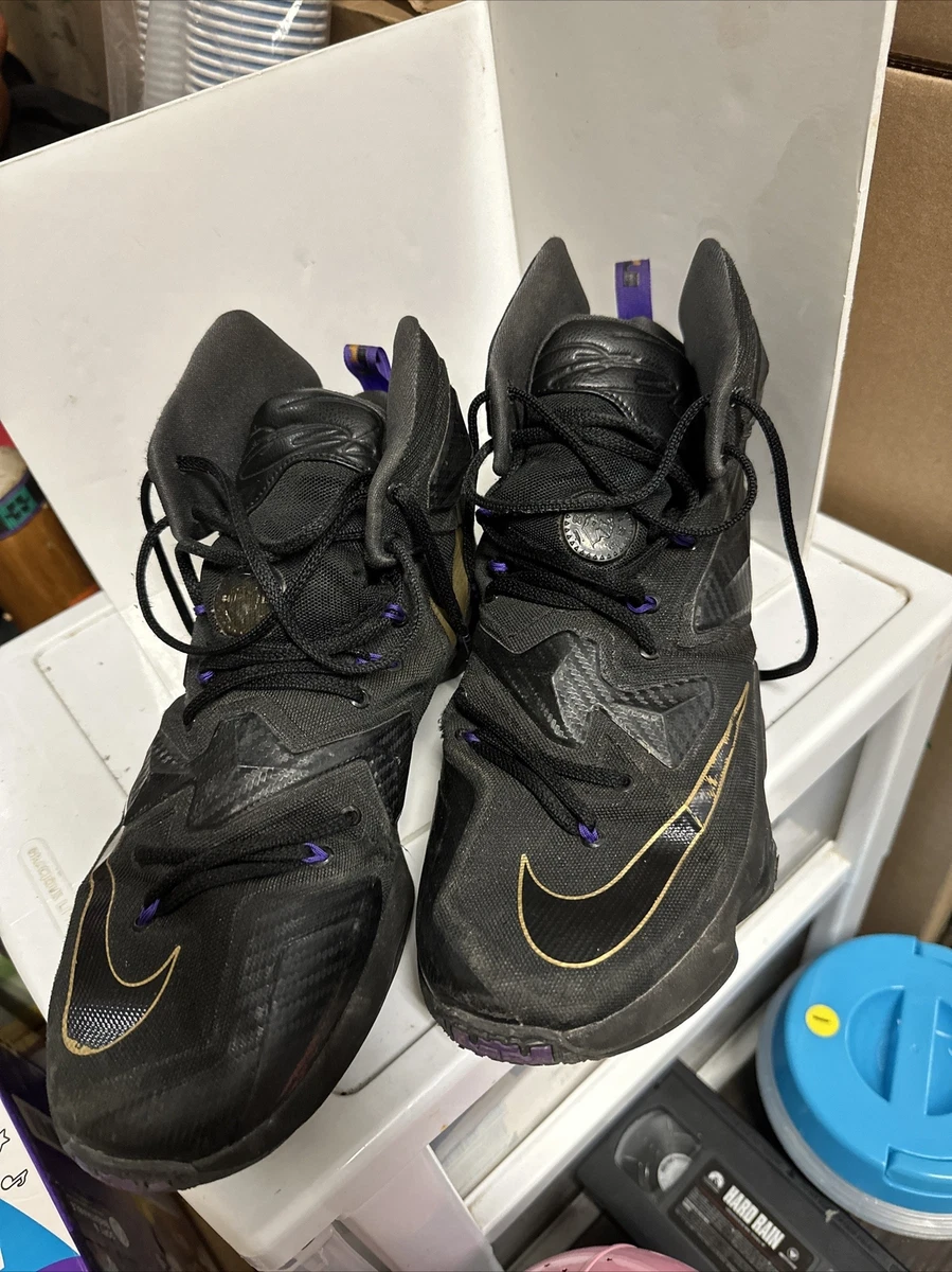 Nikebetterworld lebron shop