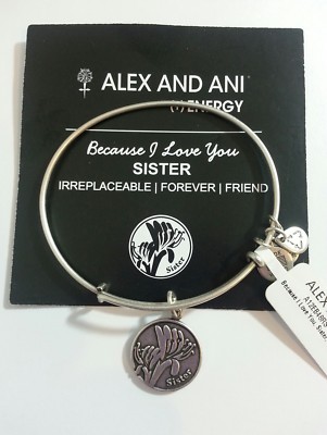 Alex and Ani Because I Love You SISTER Bangle Bracelet New/Tags BOX R  Silver