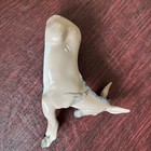 Foto 4 di 15