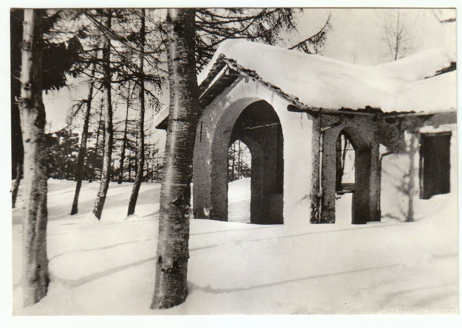 Foto 1 di 1