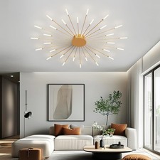 Modern Fireworks Desgin LED Ceiling Light for Living Room,Bedroom and Office