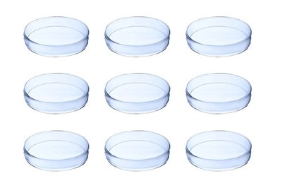 LabXcel Sterile Petri Dishes with Vents & Lid   Polystyrene Lab Use 35x15mm 50x