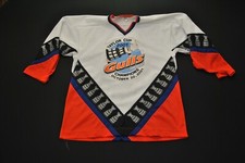 VTG 2001 San Diego Gulls Jersey Hockey Taylor Cup Champions 30924SW