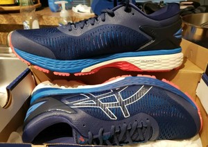 asics gel kayano 25 mita