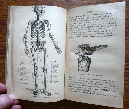 Livre scolaire ÉLÉMENTS DE SCIENCES NATURELLES 1891 - Picture 6 of 7