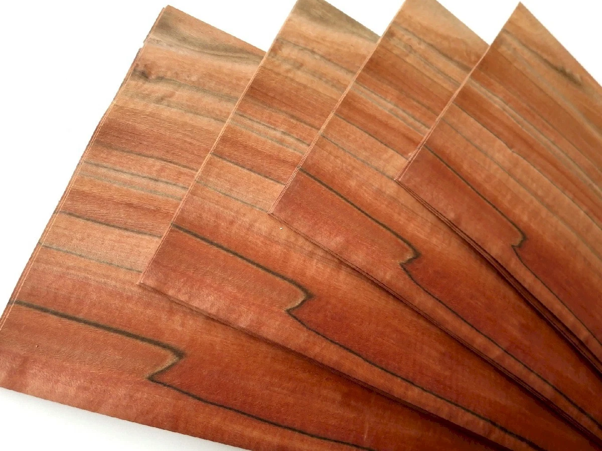 8 hojas TINEO manzano indio chapa chapa de madera construcción de muebles estante artesanía