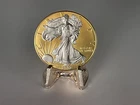 2002 - American Silver Eagle - 24K Gold Gilded - Just Beautiful : 1 oz .999