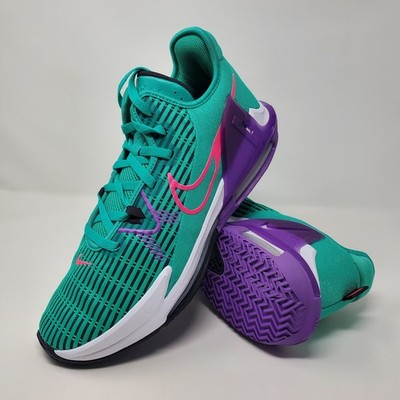Nike Lebron Witness VI 