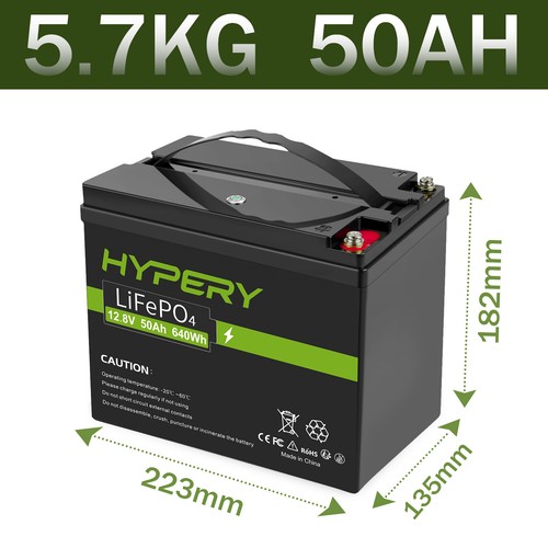 12V LiFePO4 200AH 100Ah 50Ah Lithium Battery BMS Solar Iron Phosphate Off-Grid - Picture 17 of 28