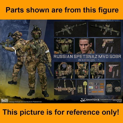 Figuras de acción DAMTOYS Kherson Russian Spetsnaz - Desnudo - Escala 1/6 - Imagen 4 de 5