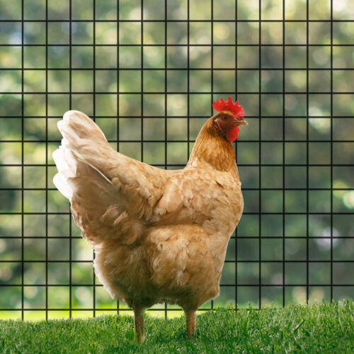 Rollo de malla de alambre soldado de tela de hardware de 1x1 pulgada alambre de pollo valla de aves de corral - Imagen 47 de 66