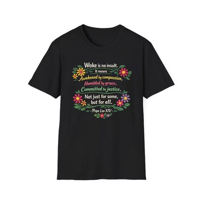 woke is no insult no kings Quote Saying Comfort Tee