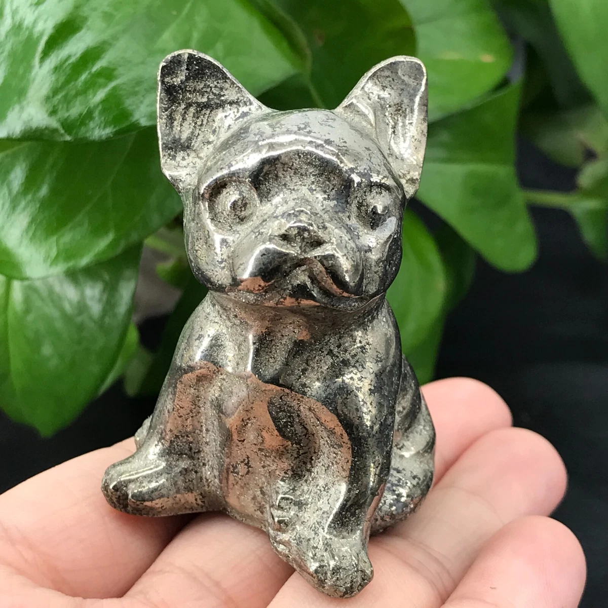 Bulldog skull online