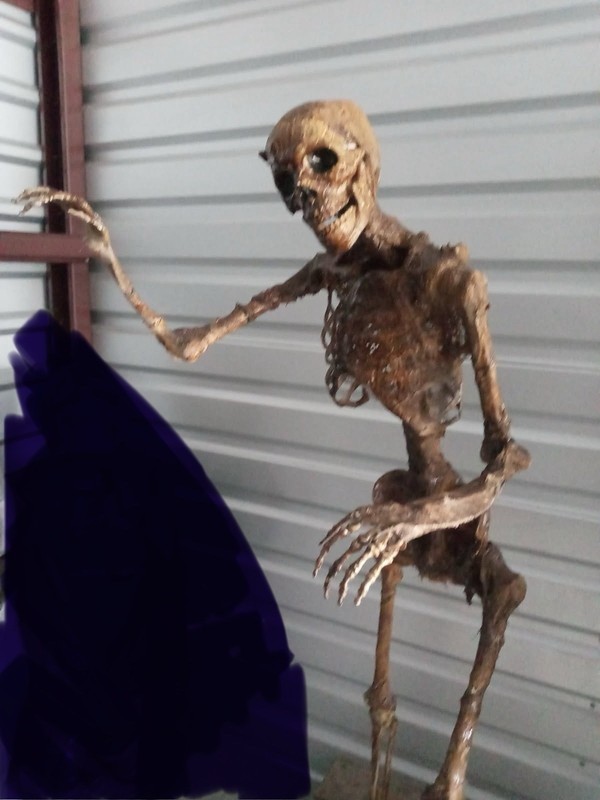 Foy’s Halloween of Fairborn Professionally Made Skeleton Halloween Prop ~5’ tall
