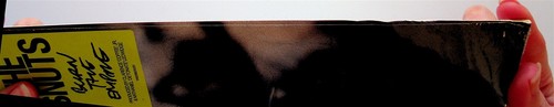 THE SNUTS- Burn The Empire LP (NEW** Vinyl 2022) Indie Rock - Picture 2 of 3
