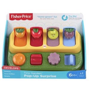 juguetes fisher price 6 meses