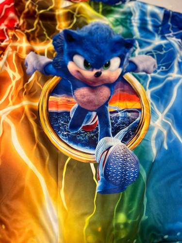 Sonic Hedgehog Boys Size Large Long Sleeve Hoodie and Pants Track Suit Colorful - Picture 11 of 13