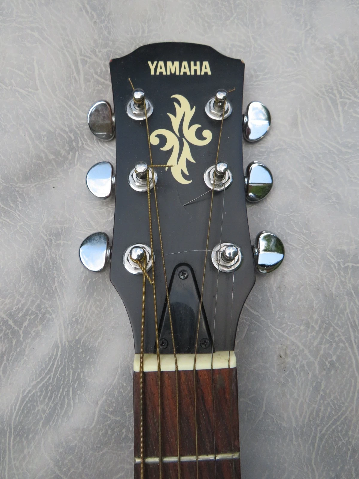 Picture 12 of 24
