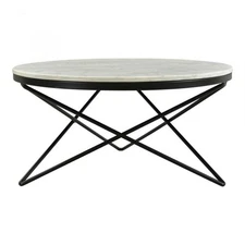 Moe's Home Collection Haley Contemporary Marble Coffee Table in White/Black