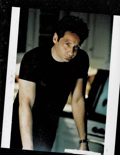 SUPER RARA!! FOTO PUBBLICITARIA VINTAGE GIOVANE SEXY DAVID DUCHOVNY "X FILES"!!