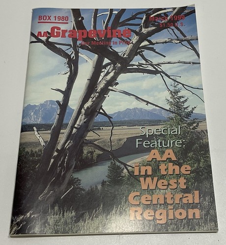(Lot of 11) AA Grapevine Alcoholics Anonymous Magazines 1999 Collection magazine - Picture 20 of 20