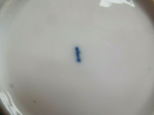 ANTIQUE KPM BERLIN SMALL PORCELAIN CUP AND SAUCER WITH FLORAL PUCE DECORATION - Picture 11 of 12