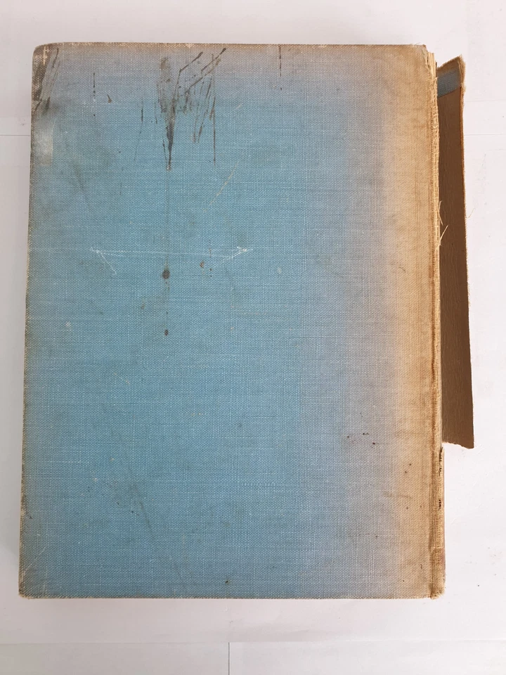 My Horse Warrior by Lord Mottistone, 1938, Hodder and Stoughton Ltd, hardback - Image 2 of 4