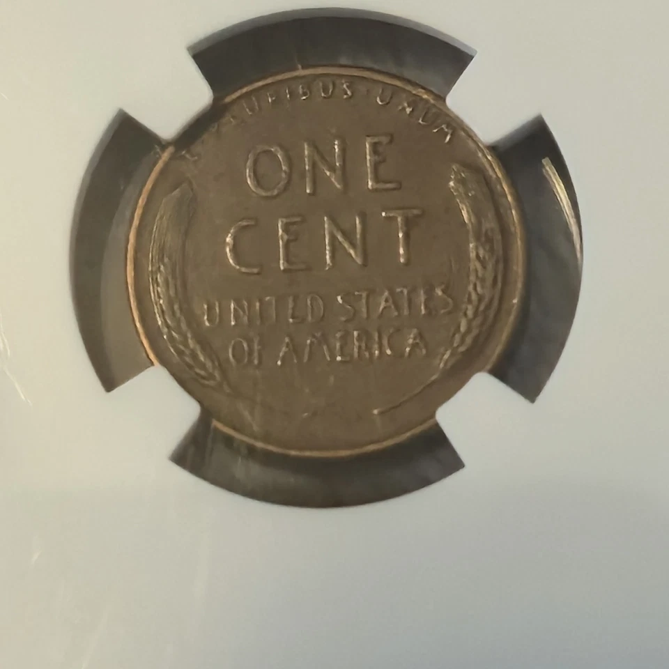 2000 - 2005 D P Sacagawea Coin Collection Lot Lincoln Wheat Penny 1955 NGC  - Image 3 of 4