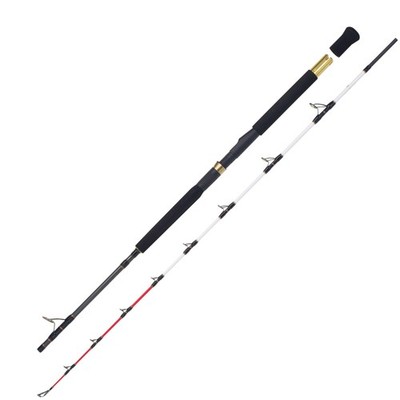 WFT Adventure Deep Water 2,15m 30lbs 200-600g Bootsrute Meeresrute für Elektro-R