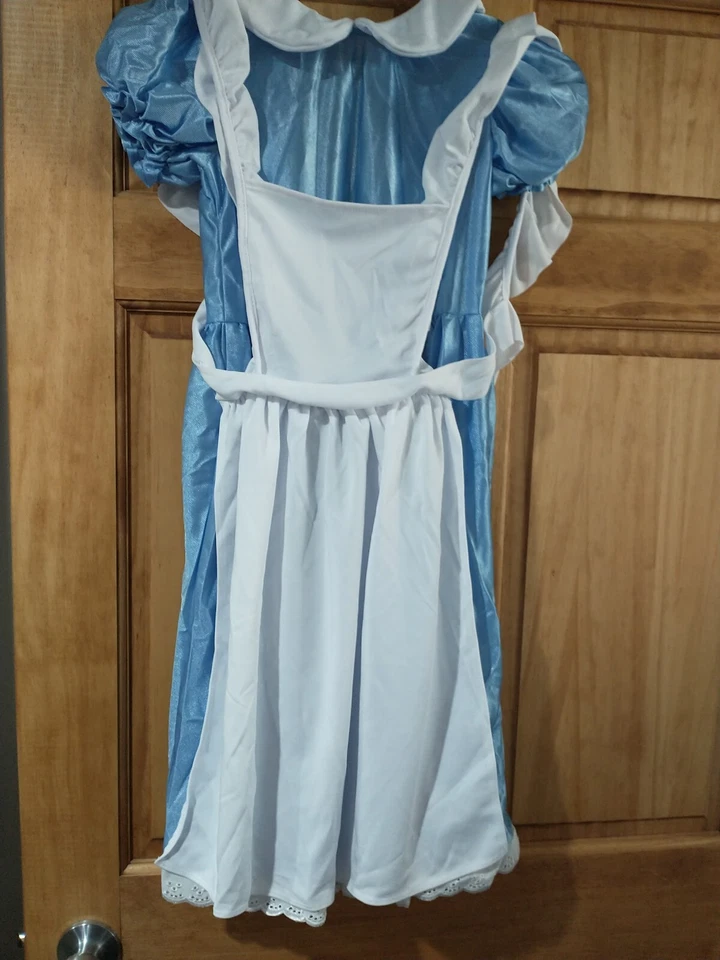 爱丽丝梦游仙境女孩儿童服装 L 10-12 — 第 4/4 张图片