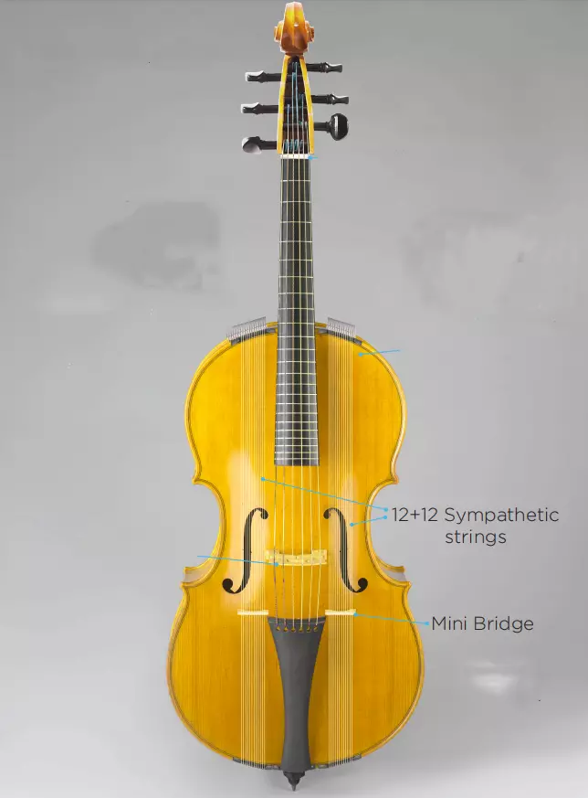 Standard full scale 6 strings Cello Arpeggione with 24 sympathetic strings