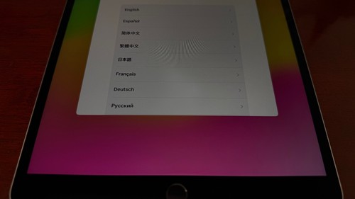 Apple iPad Pro (10.5-inch) - 256GB - Space Gray (Cell) - Screen Halo - Afbeelding 4 van 8