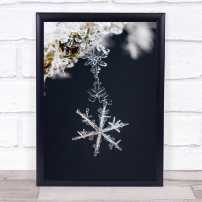 Anhänger Eisfrost Schnee Winter Rime Frozen Schneeflocke Flocke Wandbild Druck