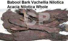 Babool Bark Vachellia Nilotica Acacia Nilotica Raw Whole Herbs 100gm 3.5 OZ .