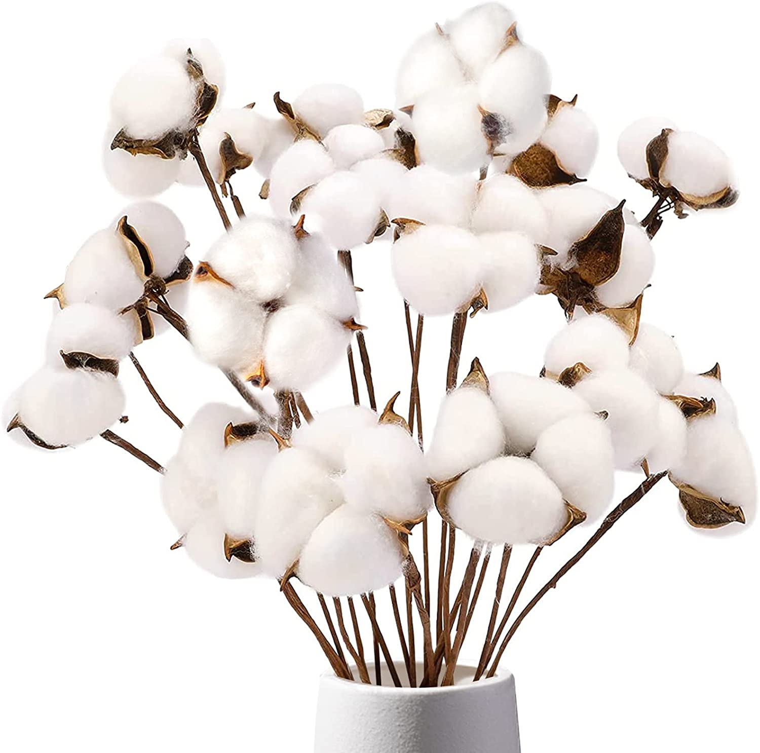 Natural Dried Cotton Stems 8 Pack with 15 Bolls for Vase Decor