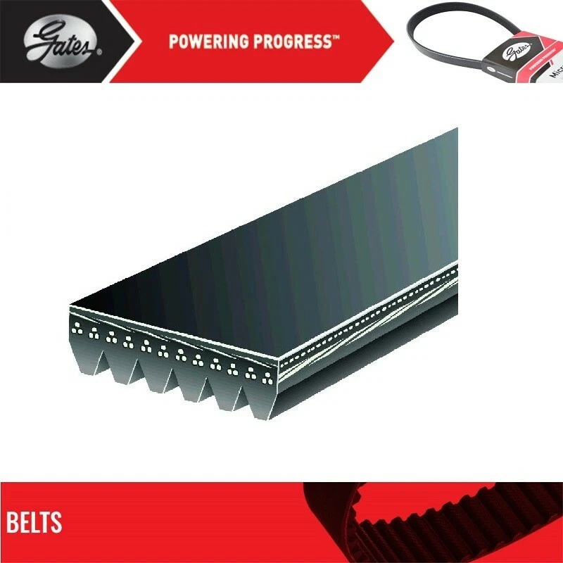 Serpentine Belt Gates For 2003 CHEVROLET CHEVY MONZA L4-1.6L Foto 2 de 4