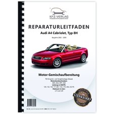 Audi A4 Cabrio (02-09) Diesel Einspritz- Vorglühanlage 6-Zyl. Reparaturanleitung