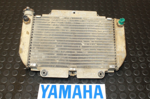 04-13 Yamaha YFZ450 YFZ 450 OEM Radiator Cooling System 5TG-12461-00-00 *TSF*