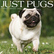 Pugs 2026 12" x 12" Wall Calendar (free shipping)