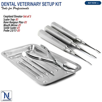 Dental Exam Tooth Extracting Veterinary Oral Surgery Tooth Dental ...