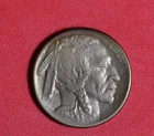 1913-STI Buffalo Nickel #P26119