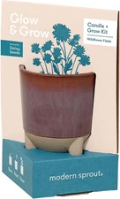 Glow and Grow Kit - 2 in 1 Scented Candle That Grows into a Daisy Plant - 12 Oz