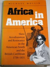 Africa in America: Slave Acculturation and Resistance in the Ame