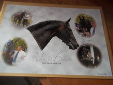'Yeats' Royal Ascot 2009 Limited Edition Print sign A O'Brien & Murtagh 43 / 100