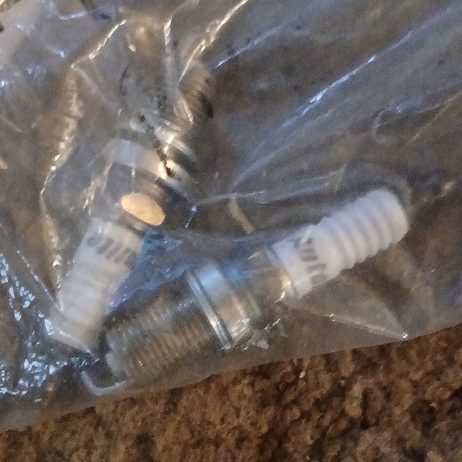 4 Pack Autolite AP5224 Platinum Automotive Resistor Replacement Spark Plugs NEW