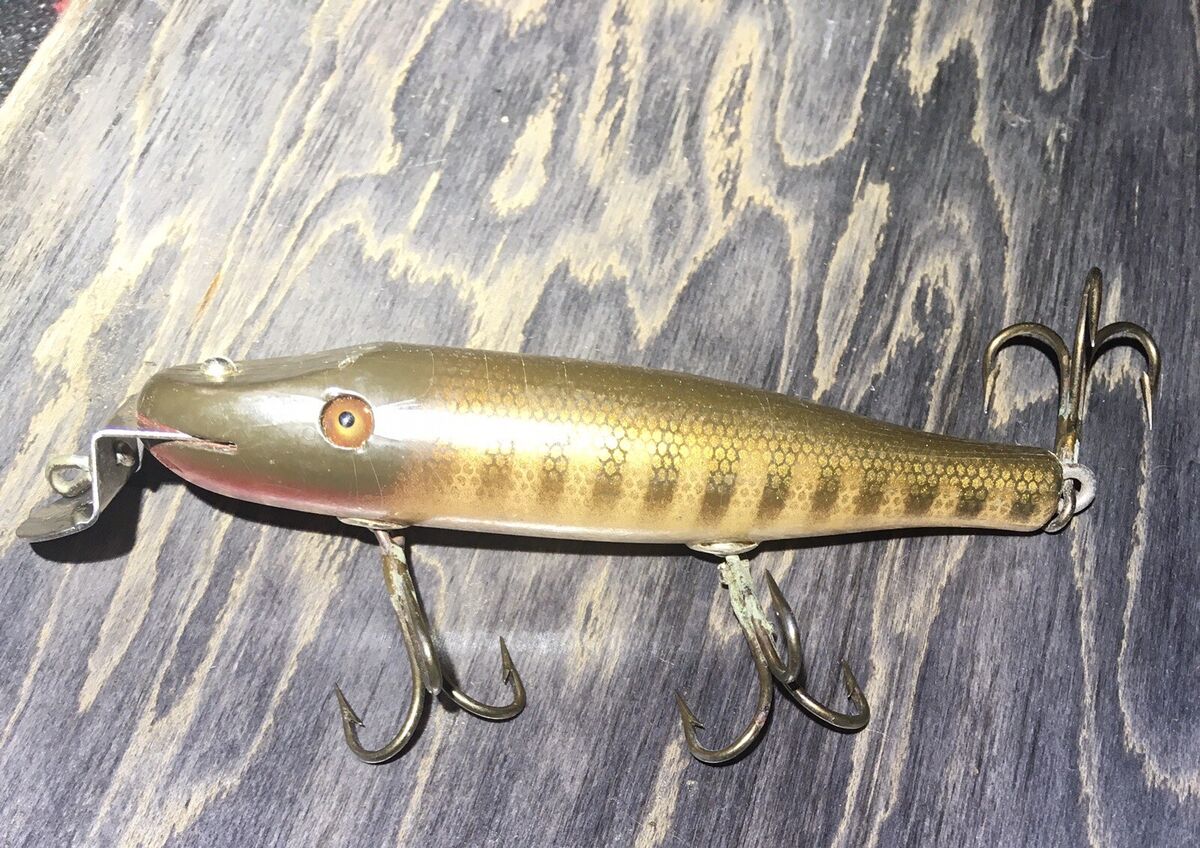 CREEK CHUB 4½ CREEK CHUB 4½
