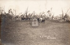 Windom MN 1909 Tornado Farm Destruction A J W...